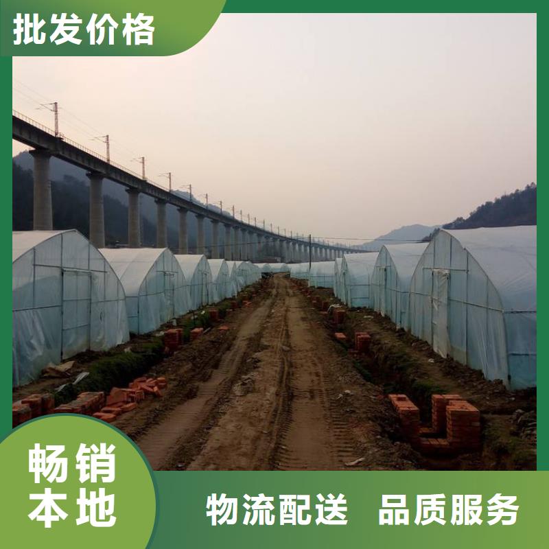 大棚管連棟大棚管用心做好每一件產(chǎn)品
