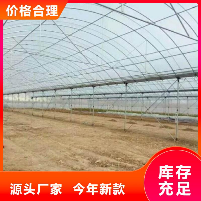 大棚管-镀锌大棚管做工精细