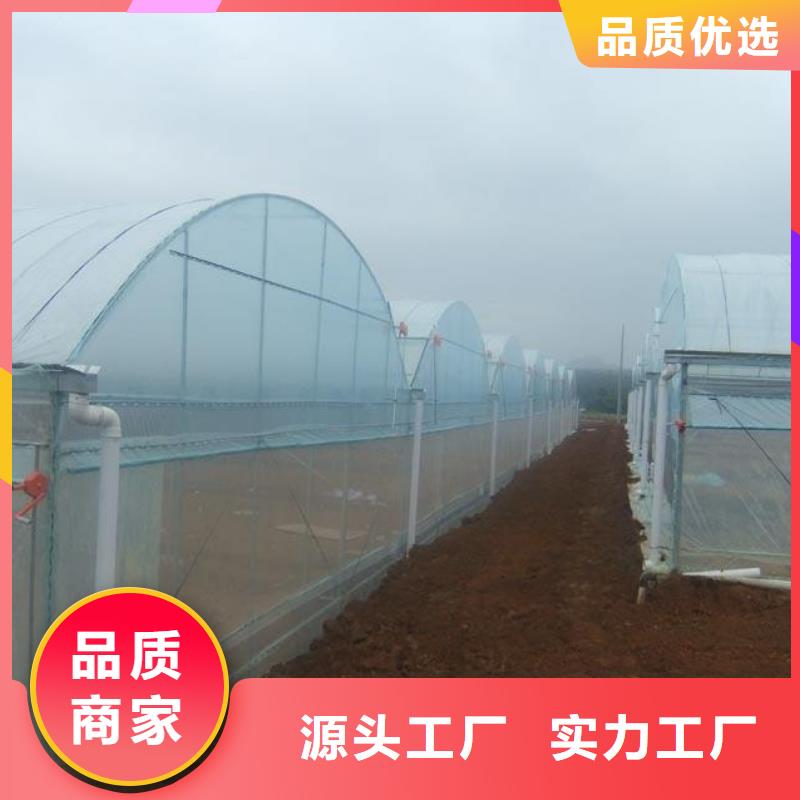  大棚管出货及时