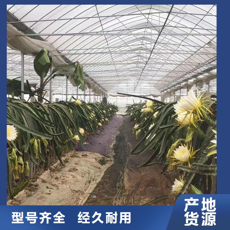 大棚管農(nóng)業(yè)養(yǎng)殖大棚管貨源穩(wěn)定