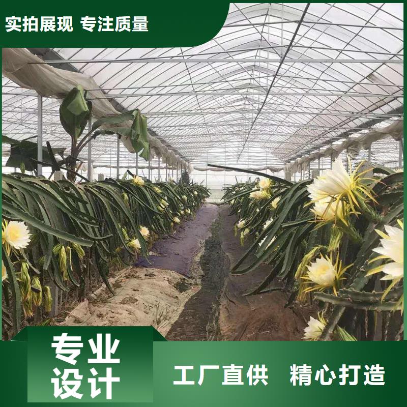 大棚管農(nóng)業(yè)養(yǎng)殖大棚管貨源穩(wěn)定