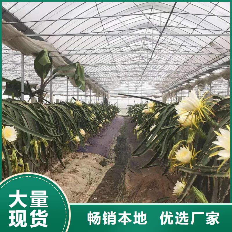 【大棚管,连栋大棚管经久耐用】