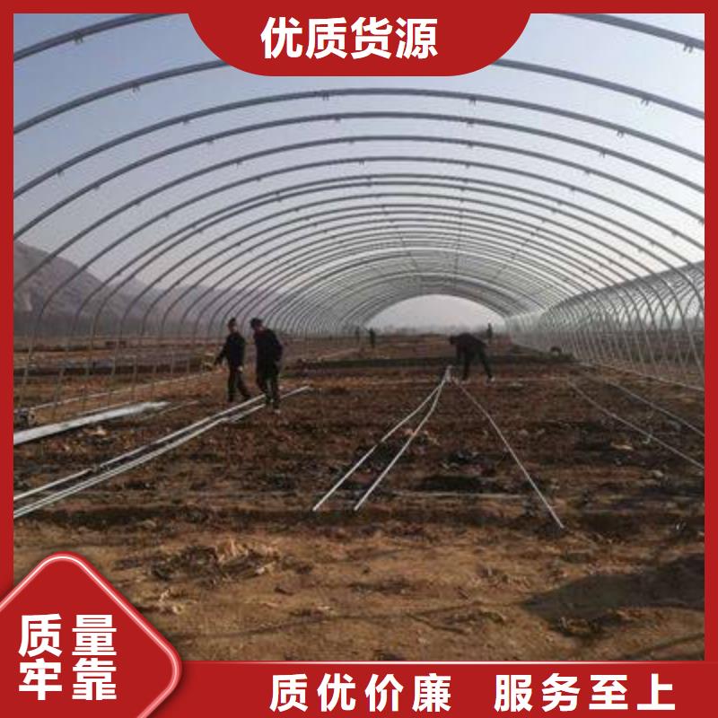 【大棚管,连栋大棚管经久耐用】