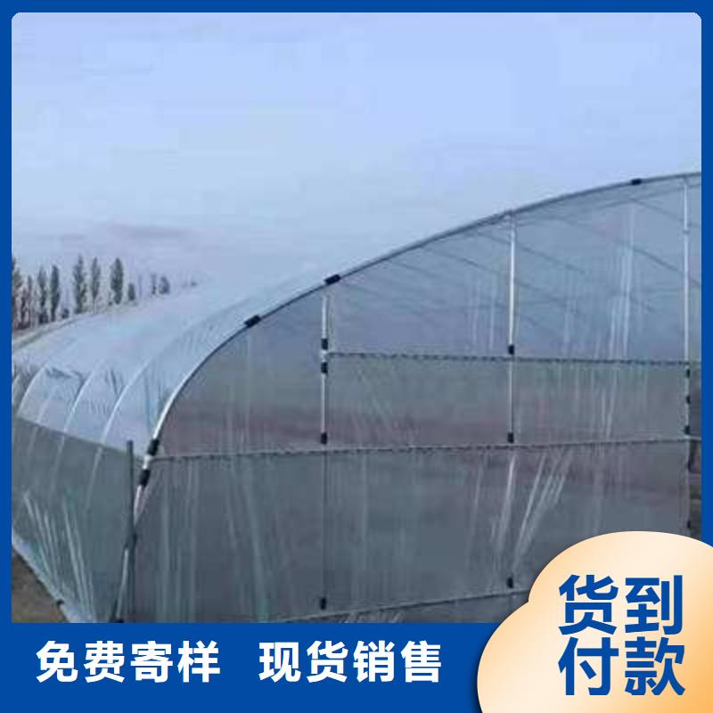 大棚管溫室大棚管實(shí)力才是硬道理