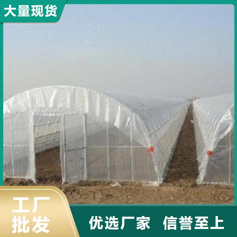 大棚管溫室大棚管實(shí)力才是硬道理