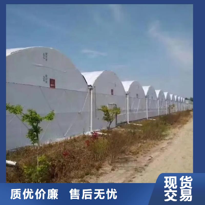 大棚管溫室大棚管實(shí)力才是硬道理