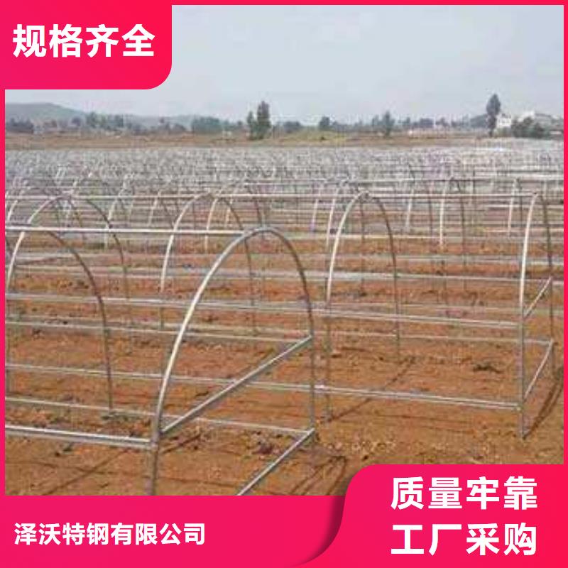 大棚管,鍍鋅大棚管一對一為您服務(wù)