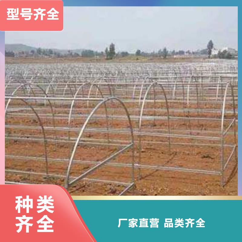 大棚管,溫室大棚管品質(zhì)信得過(guò)
