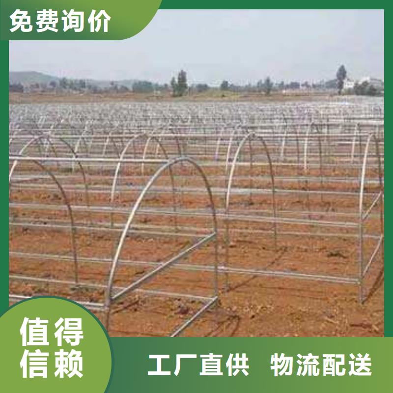 大棚管-溫室大棚管保障