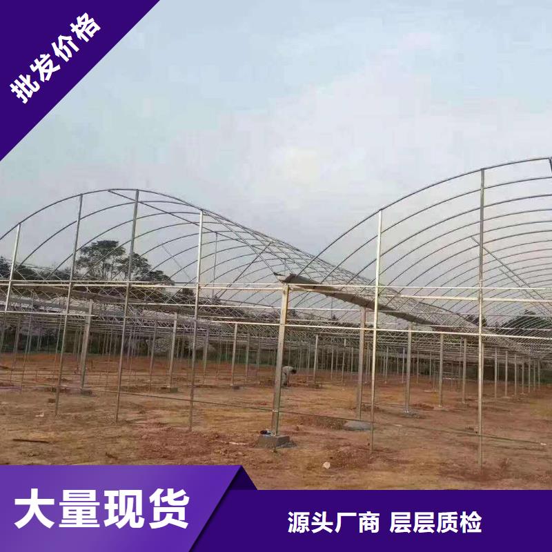 大棚管溫室大棚管實(shí)力才是硬道理