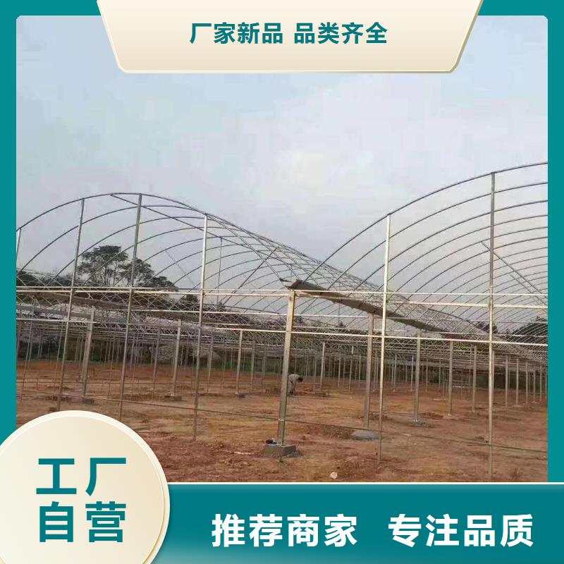 大棚管,鍍鋅大棚管一對一為您服務(wù)