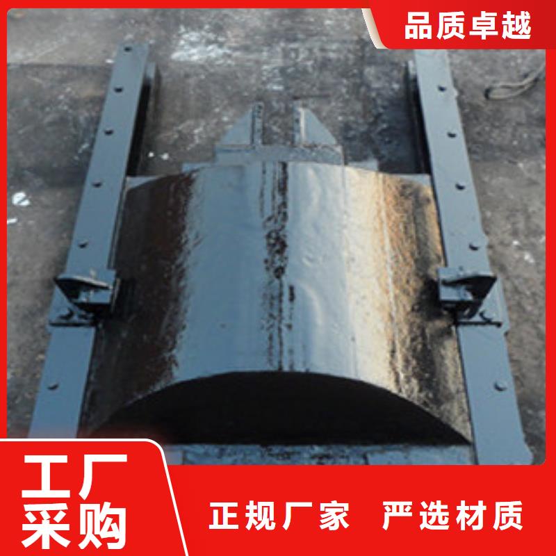 鑄鐵閘門-液壓升降壩來圖定制