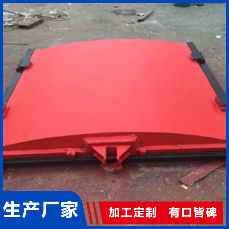 铸铁闸门翻板闸门实力厂商