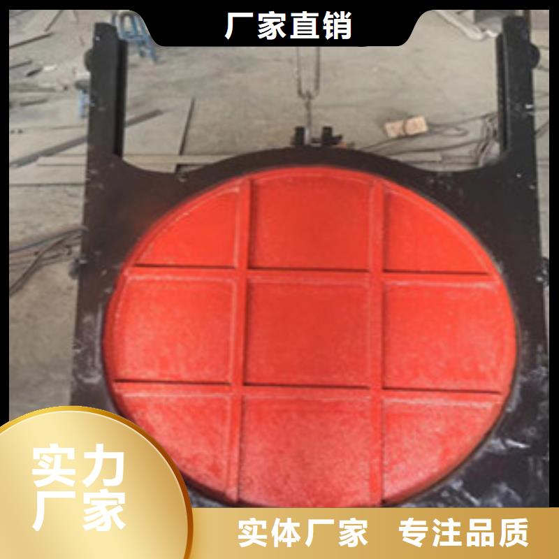 鑄鐵閘門-液壓升降壩來圖定制