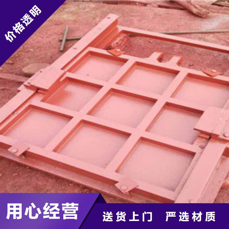 鑄鐵閘門電動(dòng)螺桿啟閉機(jī)實(shí)力廠家