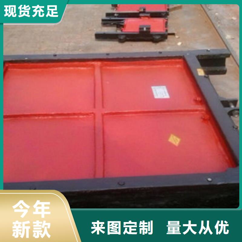 鑄鐵閘門,HZG回轉(zhuǎn)式格柵除污機支持非標(biāo)定制