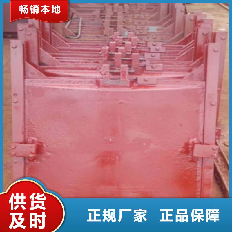 鑄鐵閘門-液壓升降壩來圖定制