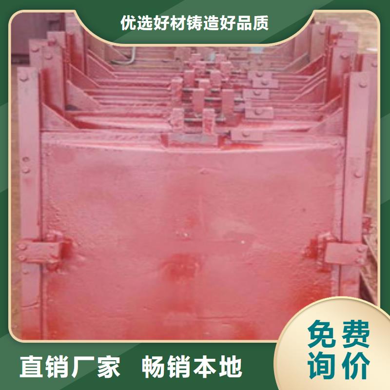 鑄鐵閘門-液壓升降壩來圖定制
