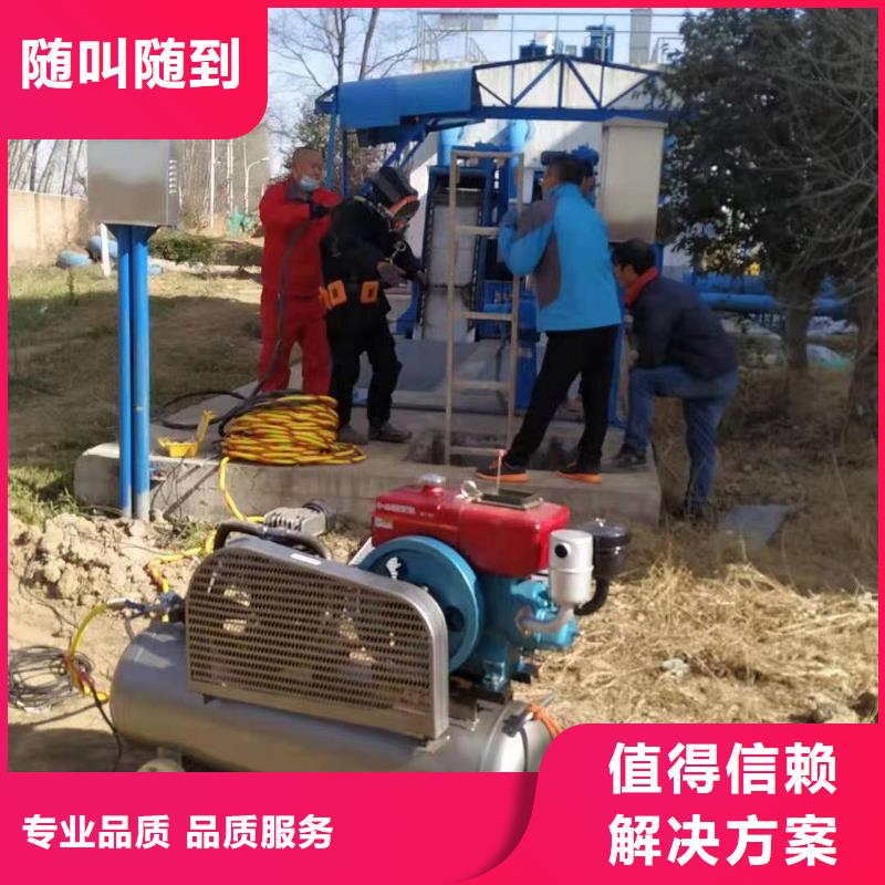 蛙人服务库存充足