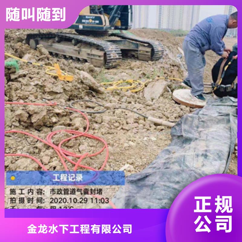 質(zhì)優(yōu)價廉的水庫電站閘門水下檢修供貨商