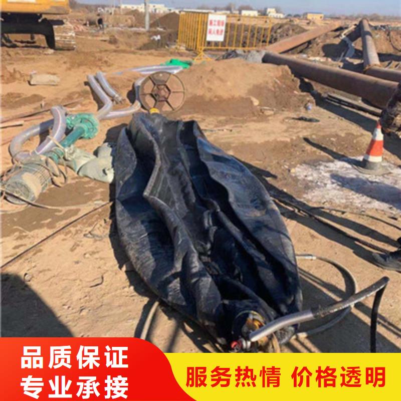 質(zhì)優(yōu)價廉的水庫電站閘門水下檢修供貨商