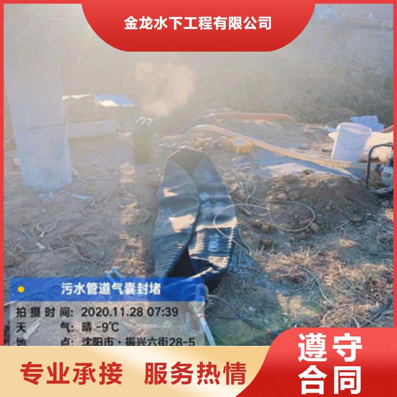 質(zhì)優(yōu)價廉的水庫電站閘門水下檢修供貨商