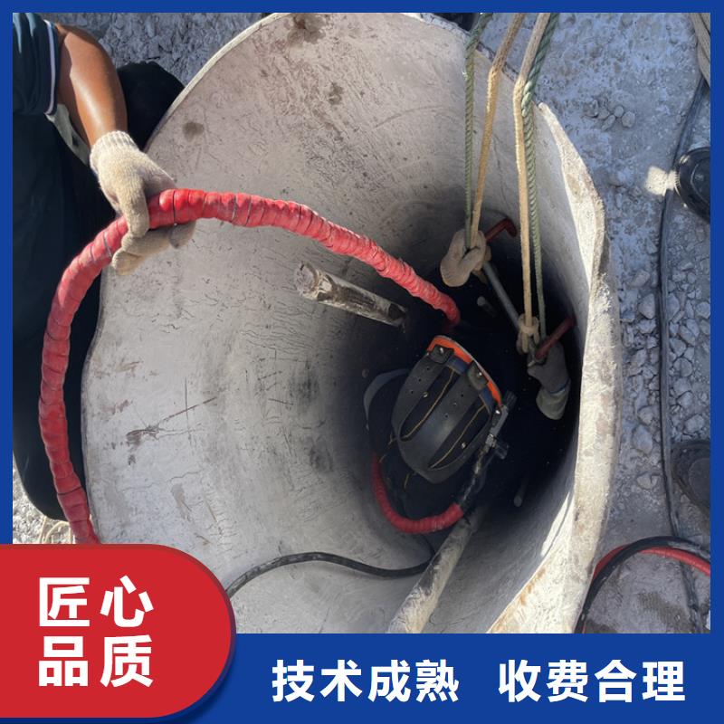 定安縣水下檢查公司本地就有隊伍