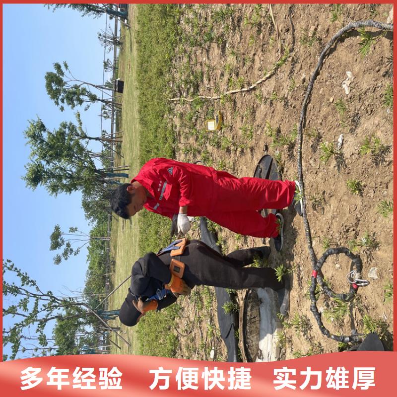 水下拆除公司本地就有队伍