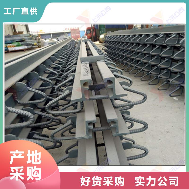 【橋梁伸縮縫】,桁架支座源頭廠家經(jīng)驗(yàn)豐富