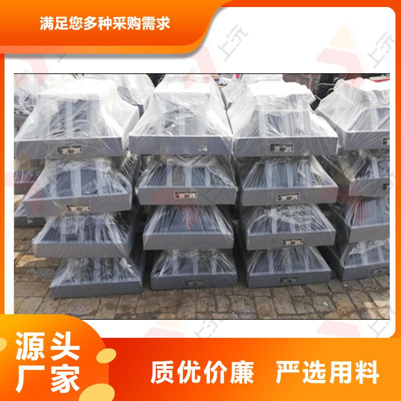 SX雙向鉸支座直接廠家