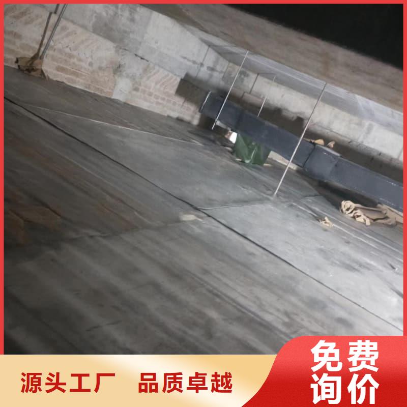 电动防护铅门欢迎询价