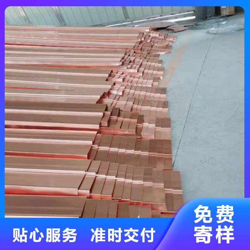 銅排銅片護(hù)坡土工網(wǎng)敢與同行比質(zhì)量