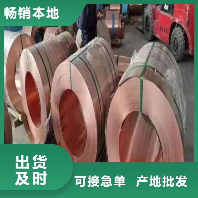铜排铜片单向塑料土工格栅源厂直销