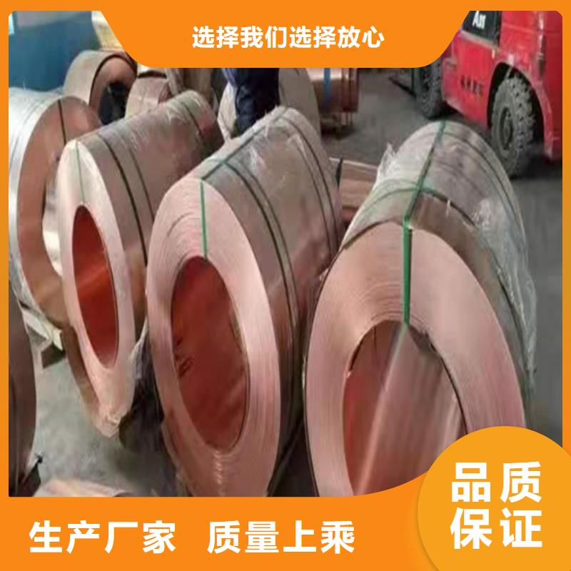 銅排銅片,凸結(jié)點(diǎn)鋼塑土工格柵詳細(xì)參數(shù)