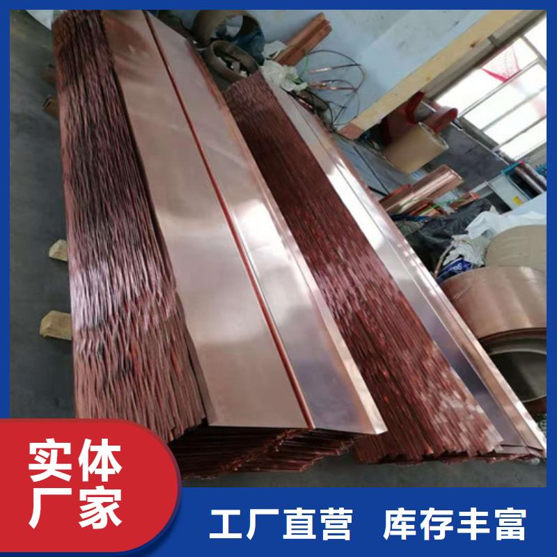 【銅排銅片】護(hù)坡土工網(wǎng)廠家新品