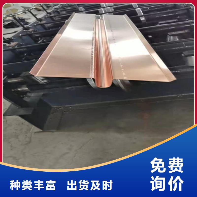 銅排銅片凸結(jié)點(diǎn)鋼塑土工格柵貨真價(jià)實(shí)