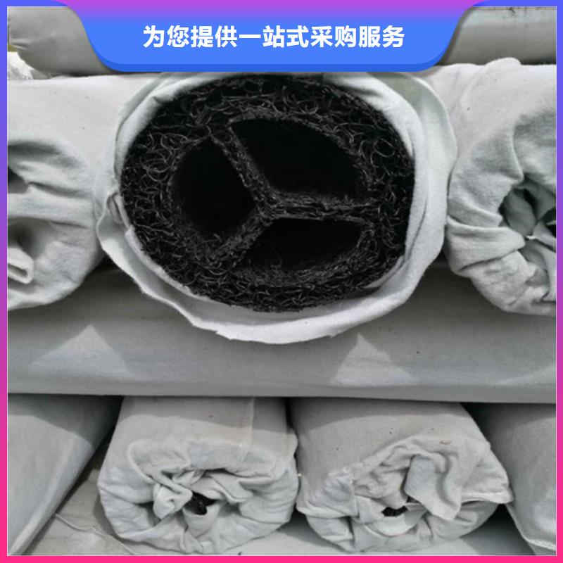 滲排水網(wǎng)墊--雙臂打孔波紋管廠家--信譽(yù)保證