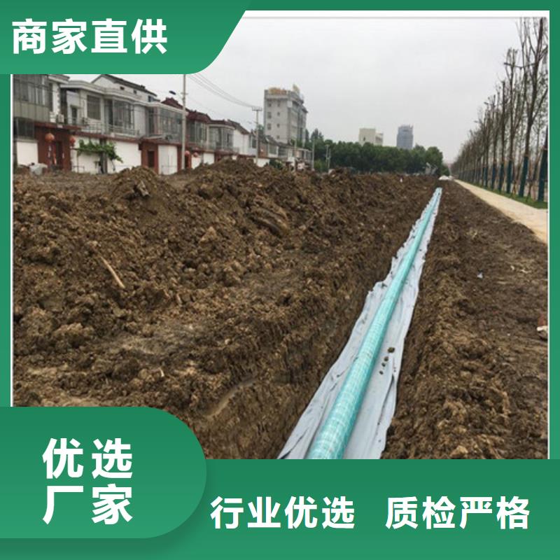 滲排水網(wǎng)墊--雙臂打孔波紋管廠家--信譽(yù)保證