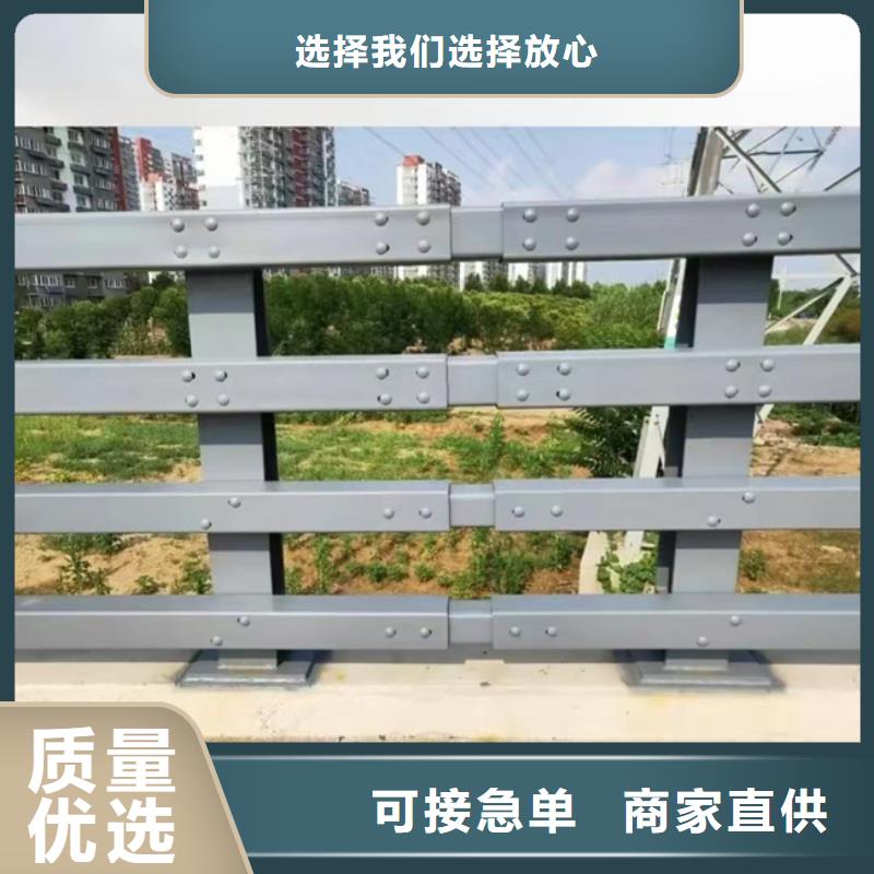 护栏人车分流栏现货