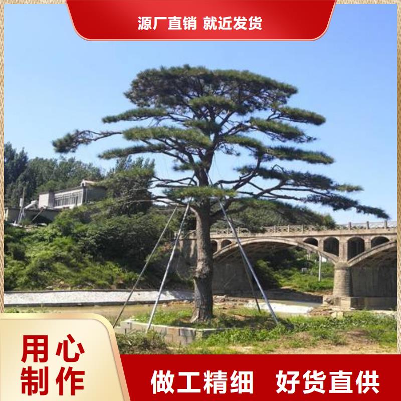  造型松物流配貨上門