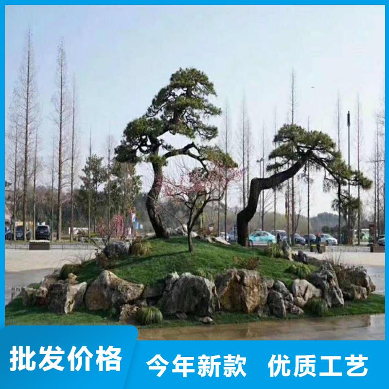 造型松平頂松質(zhì)量牢靠