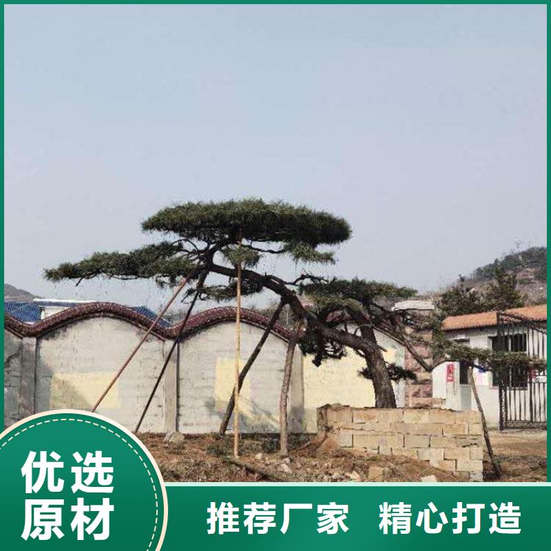 造型松造型池松誠(chéng)信商家服務(wù)熱情