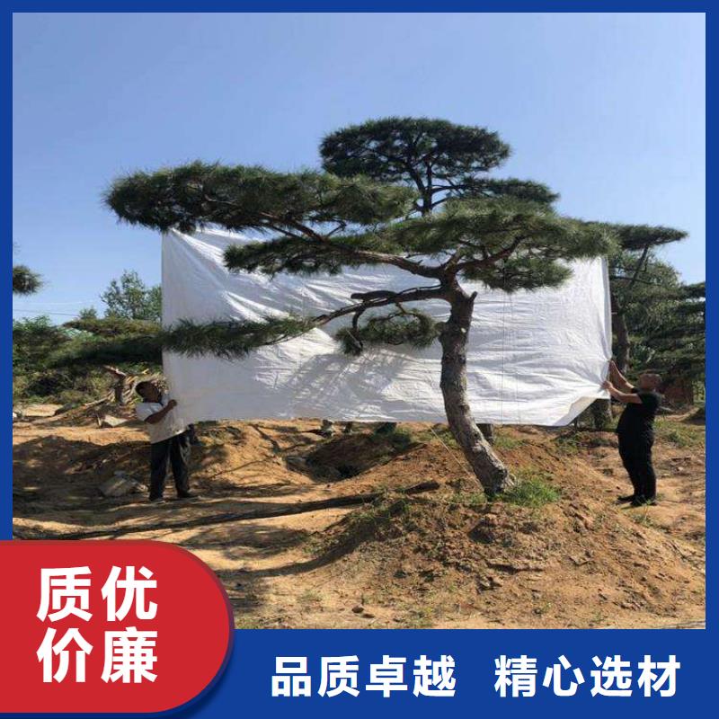  造型松物流配貨上門