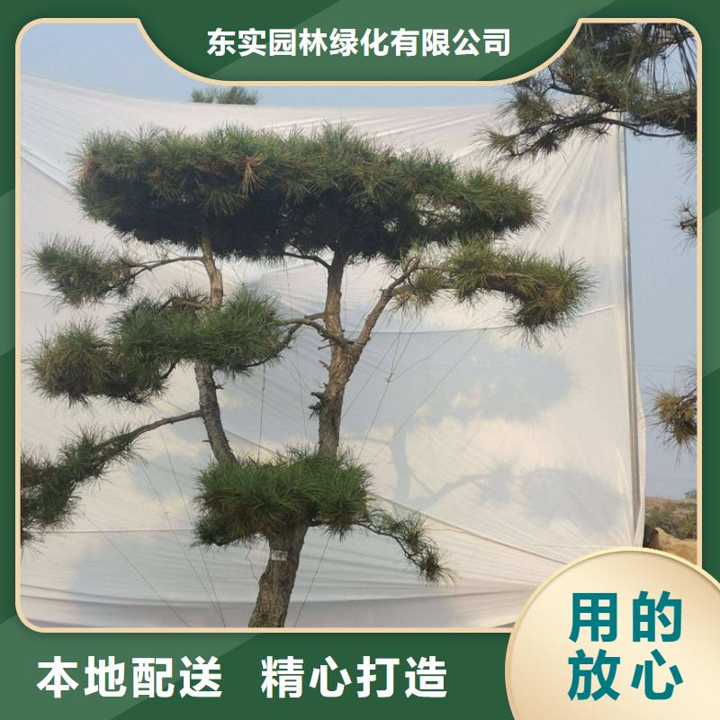  造型松精工細致打造