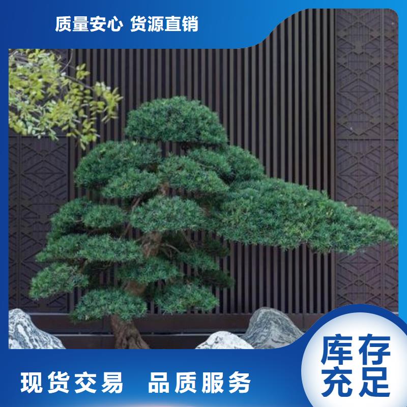 造型松古樁一站式供應(yīng)廠家