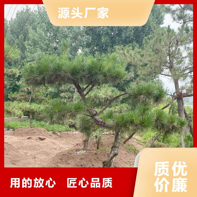  造型松物流配貨上門