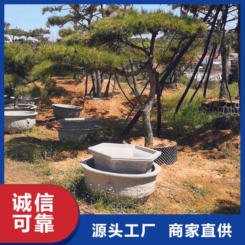 造型松_迎客松卓越品質(zhì)保障