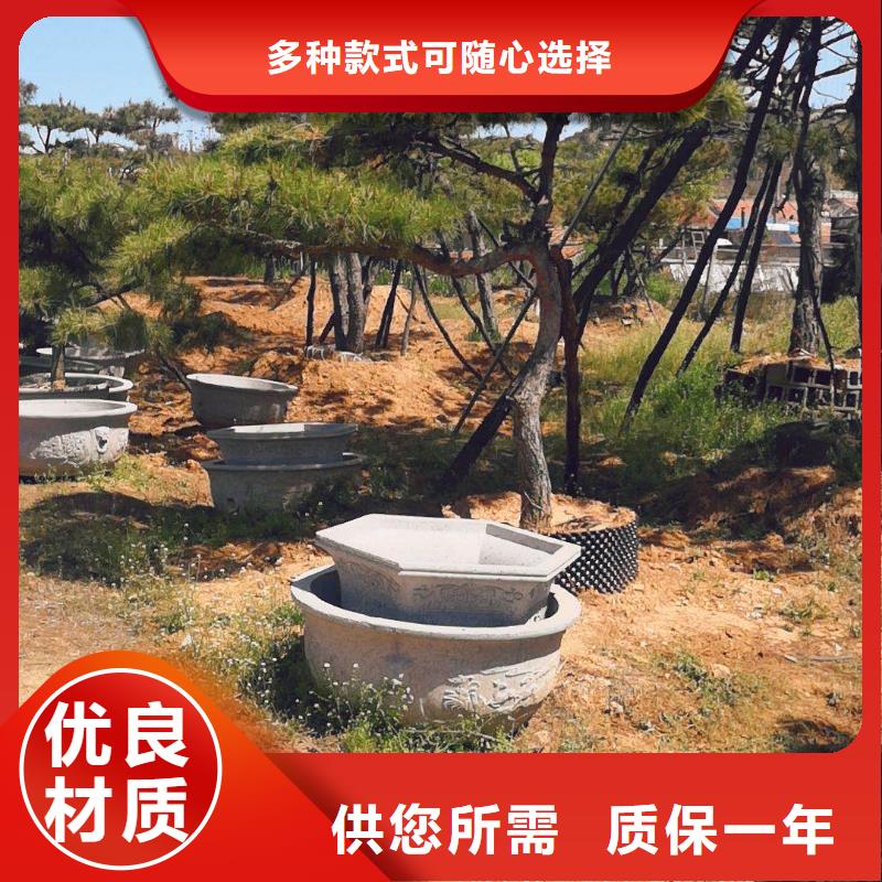 造型松造型松苗木用心细节