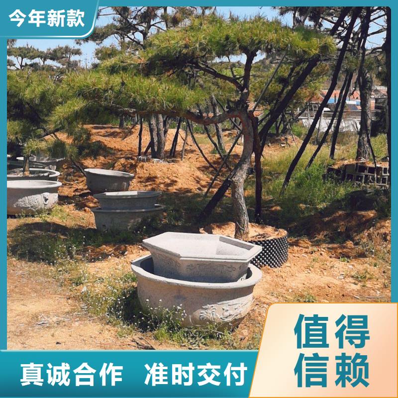  造型松專業(yè)的生產(chǎn)廠家