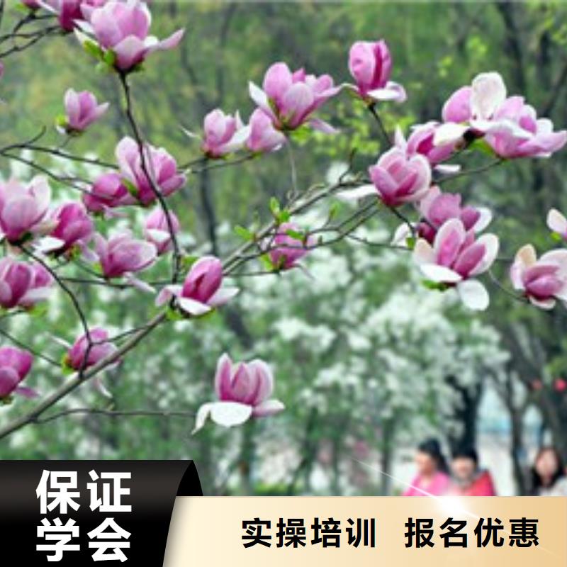 单招培训正规培训